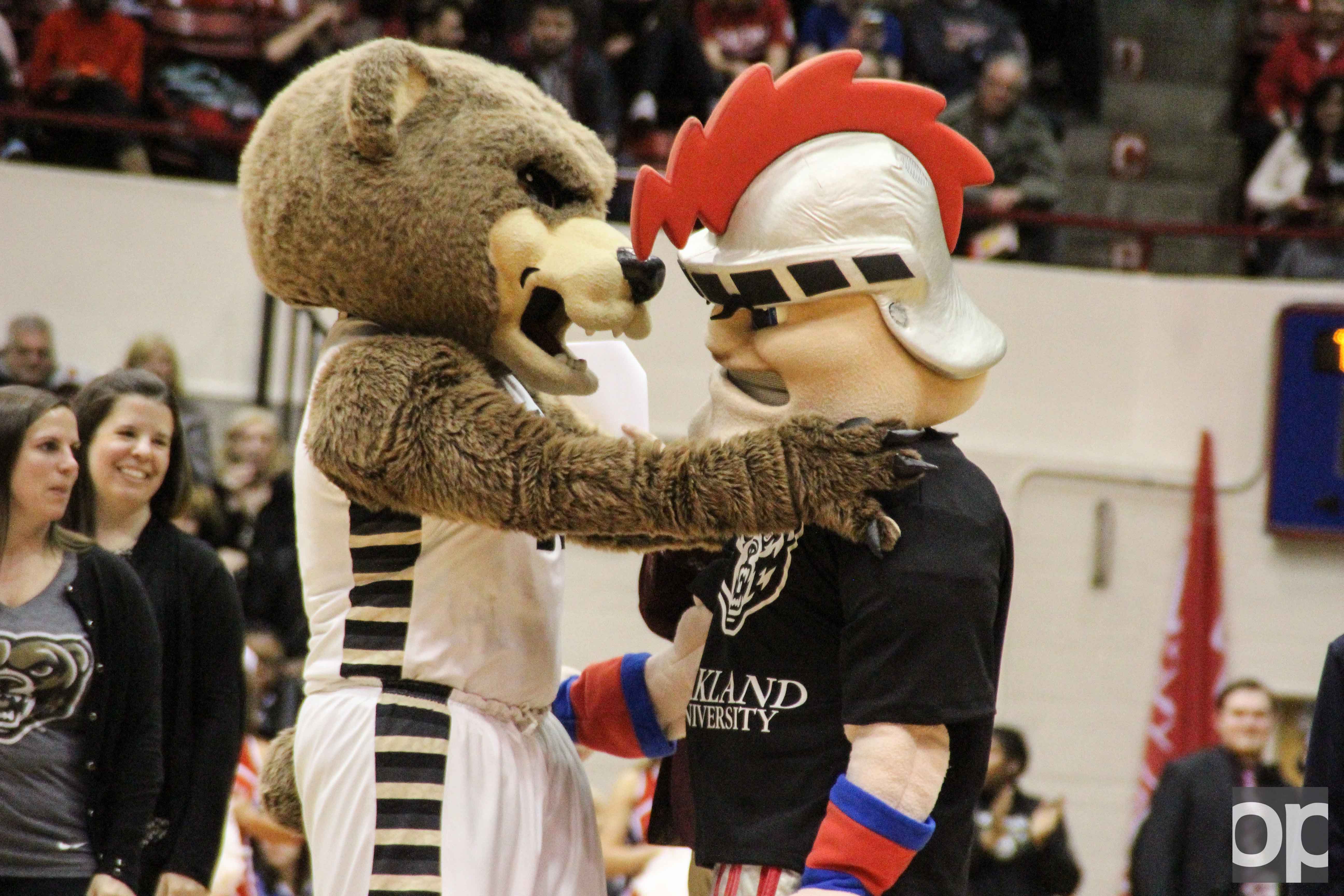 Since Oakland's 626 donors beat out UDM's 470 donors to win the Giving Challenge, Tommy the Titan had to wear the bear at the men's basketball rivalry game on Friday, Feb. 10 in Calihan Hall.