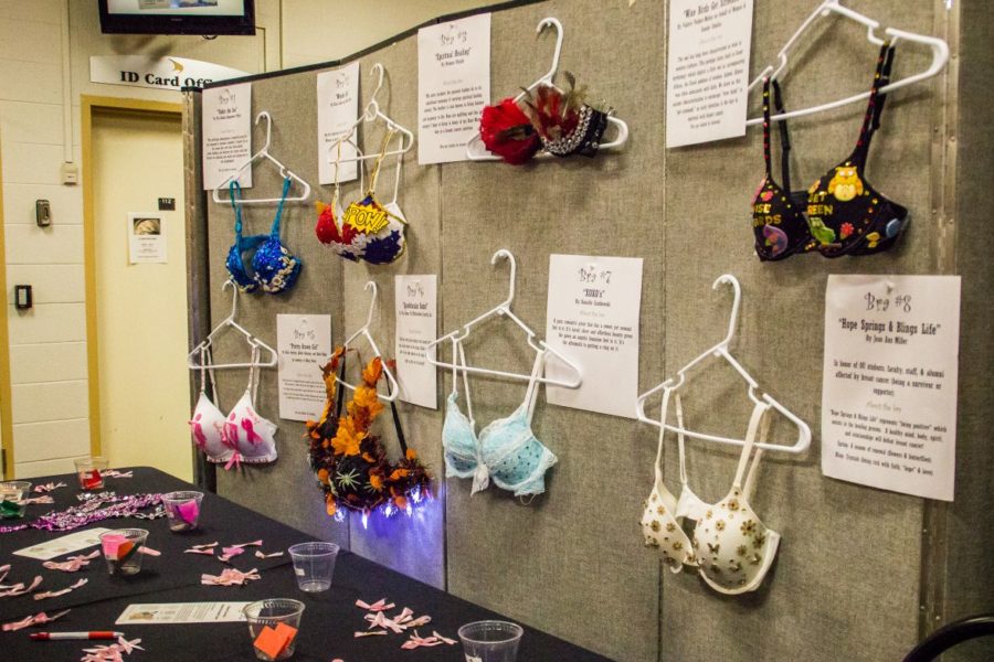 These decorated bras were on display in the Oakland Center on Oct. 15.