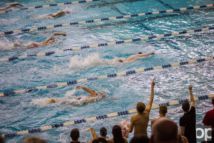 the men and womens swimming and diving teams from Oakland were both able to finish in first.