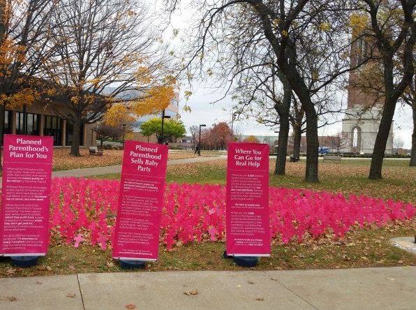 897 crosses were displayed near the clock tower on Thursday, Oct. 29.