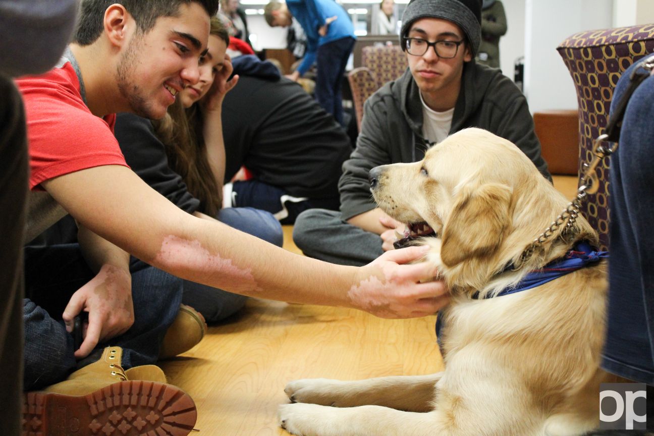 FurTastic Friends… wonderful substitute emotional support animals