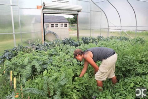 The student organic farm stand sells produce Thursdays 10 a.m. – 1 p.m. on campus.