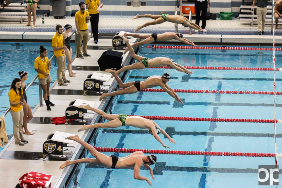 The+Oakland+Swimming+and+Diving+team+defeated+Cleveland+State+in+their+final+regular+season+match+on+Friday.