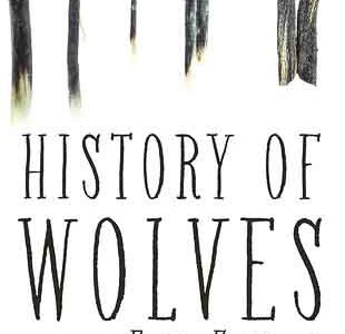 Depicting the teenage troubles in Emily Fridlund’s “History of Wolves”