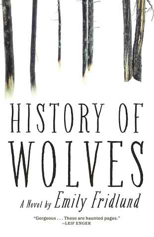 Depicting the teenage troubles in Emily Fridlund’s “History of Wolves”