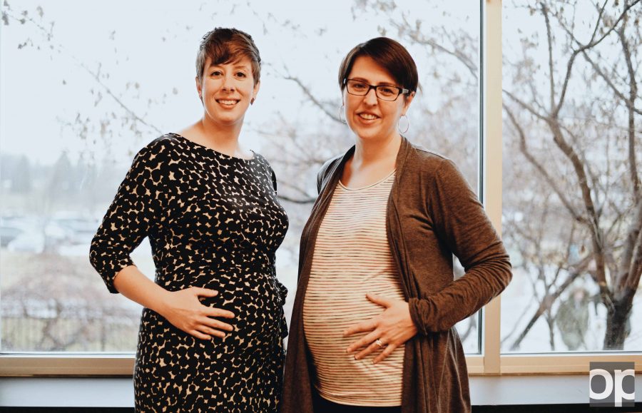 Faculty+members+Joanne+Freed+%28left%29+and++Erin+Meyers+%28right%29+will+both+be+taking+maternity+leave+soon.