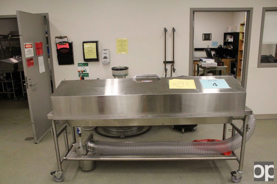 Downdraft tables are used for storing the cadavers. The tube shown under the table connects to the labs ventilation system.