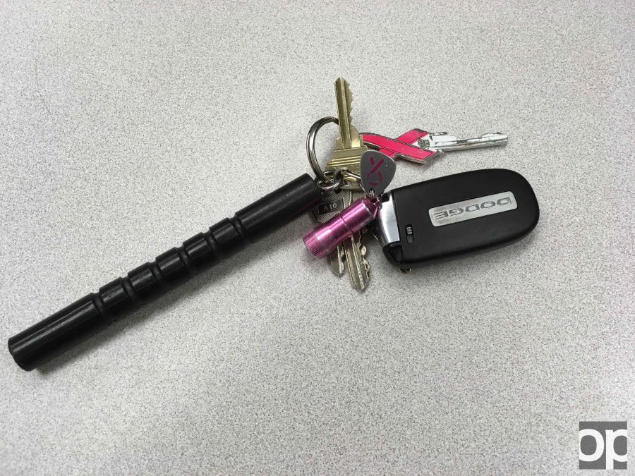 One of the features of the basic RAD program is learning to use a key chain for simple self defense maneuvers. All participants in the class receive one, and it is easily attached to a key ring.