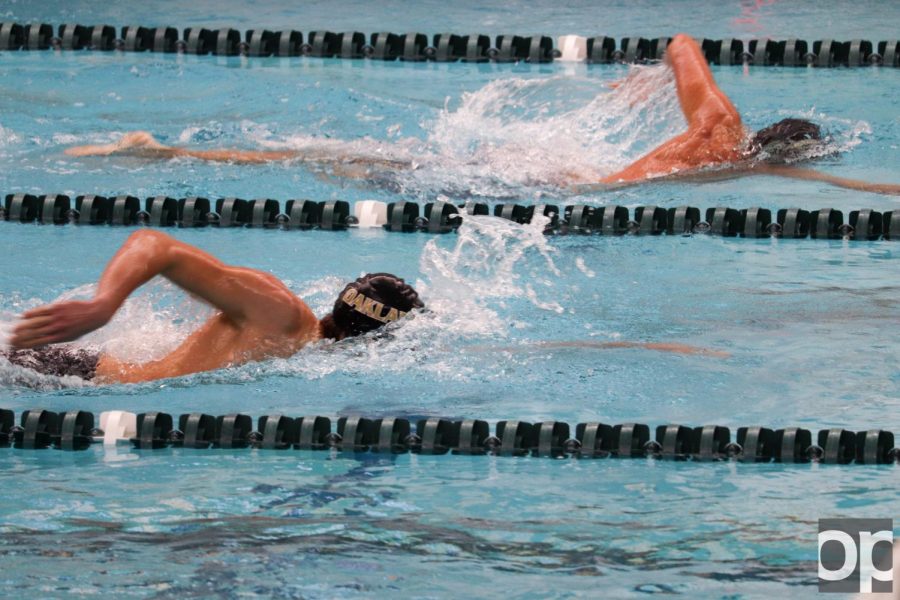 Oakland swim and dive teams display friendly competition at annual Black and Gold Meet