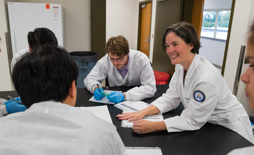 Microbiology professor Tracey Taylor is named assistant dean of OUWB’s Office of Diversity and Inclusion.