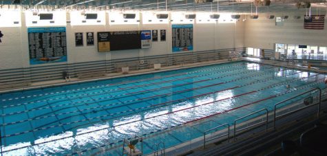 Oakland University has an Olympic sized swimming pool in the Recreation Center. 