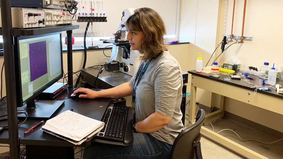 Doctoral student Sarah Denha travelled to Massachusetts over the summer to participate in a neurobiology course at the Marine Biological Laboratory. She was one of 18 students accepted into the course. 