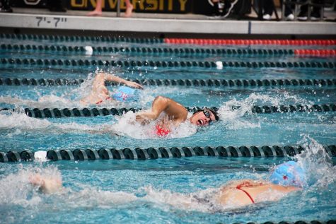 The swimmers made some waves at their conference meet v. UIC.