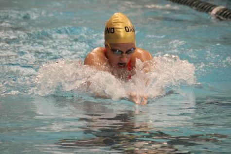 A Golden Grizzly swimmer starts their run in an event on Friday, Nov. 5 against GVSU.