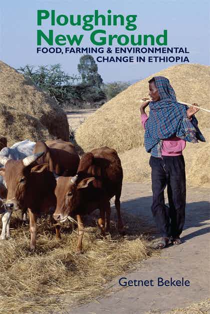 Dr. Bekeles book Ploughing New Ground examines the relationship between agricultural food cultivation and environmental change in Ethiopia. The book won the 2018 Bethwell A. Ogot Prize for best book in East African Studies.