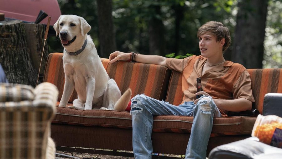 'Dog Gone:' More than the expected dog cliché