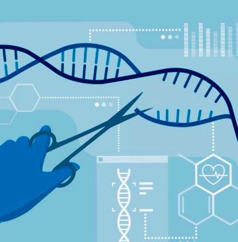 CRISPR-Cas9 – Genetic Scissors at Work