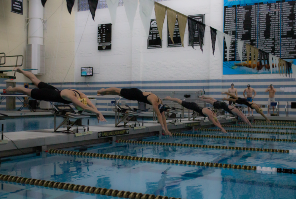 Oakland swimming and diving hosts 40th annual Oakland Ray alumni meet