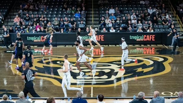 Photo courtesy of Oakland University Athletics