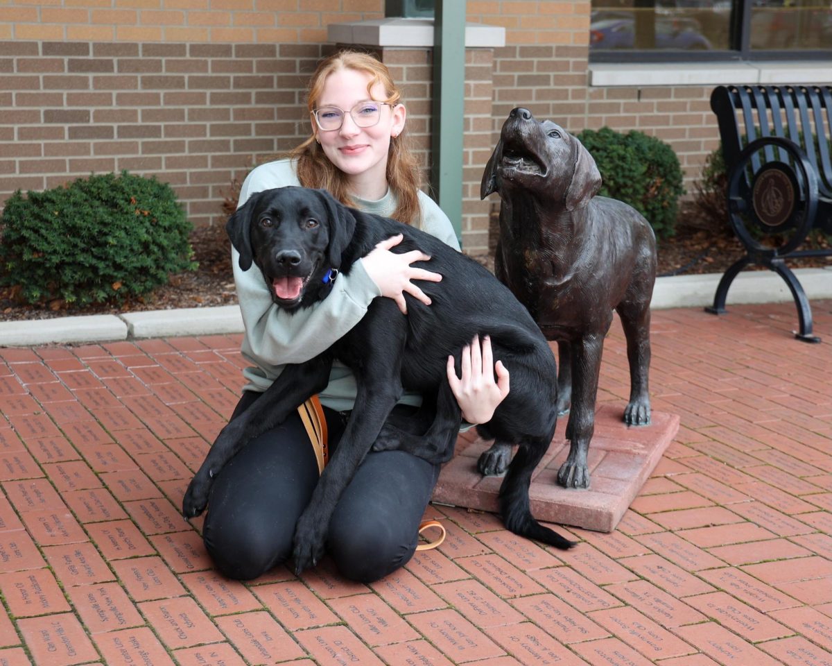 Photo courtesy of Future Leader Dogs at Oakland University