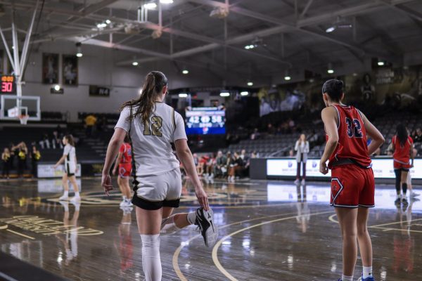 Golden Grizzlies drop 5th conference game to Robert Morris