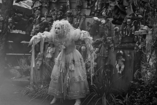 Image courtesy of Culled Culture