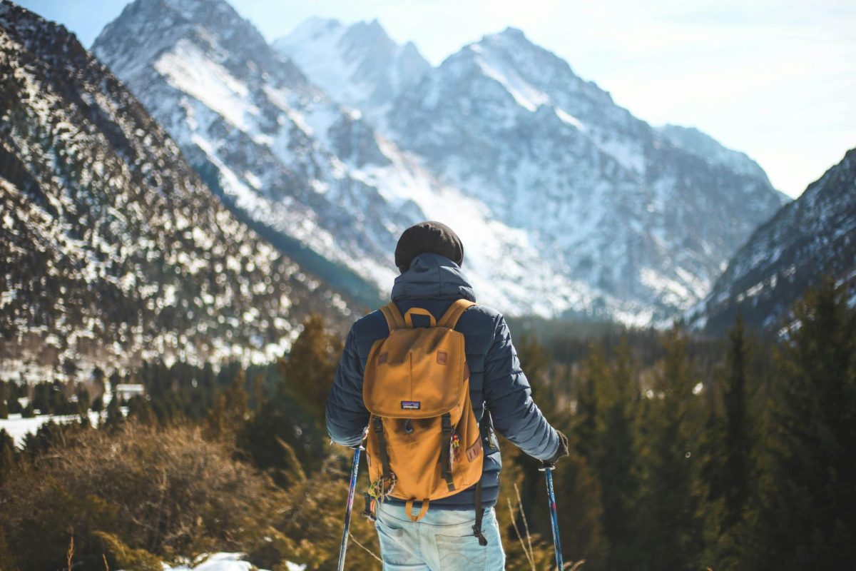 courtesy of Unsplash