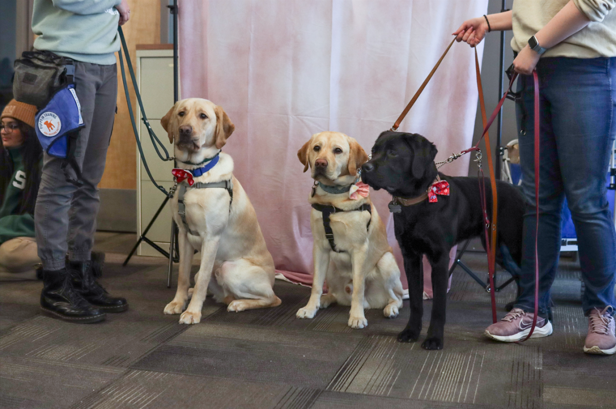Games and puppies: Future Leader Dog Club Jeopardy night