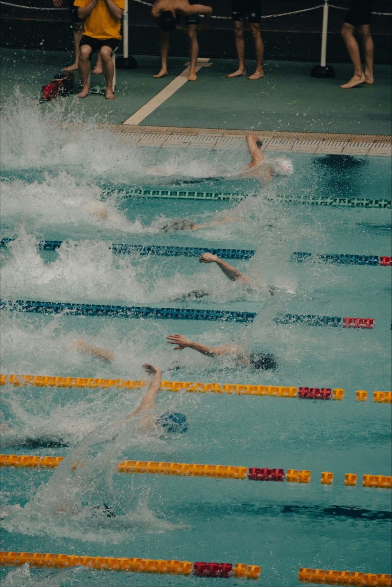 courtesy of Unsplash