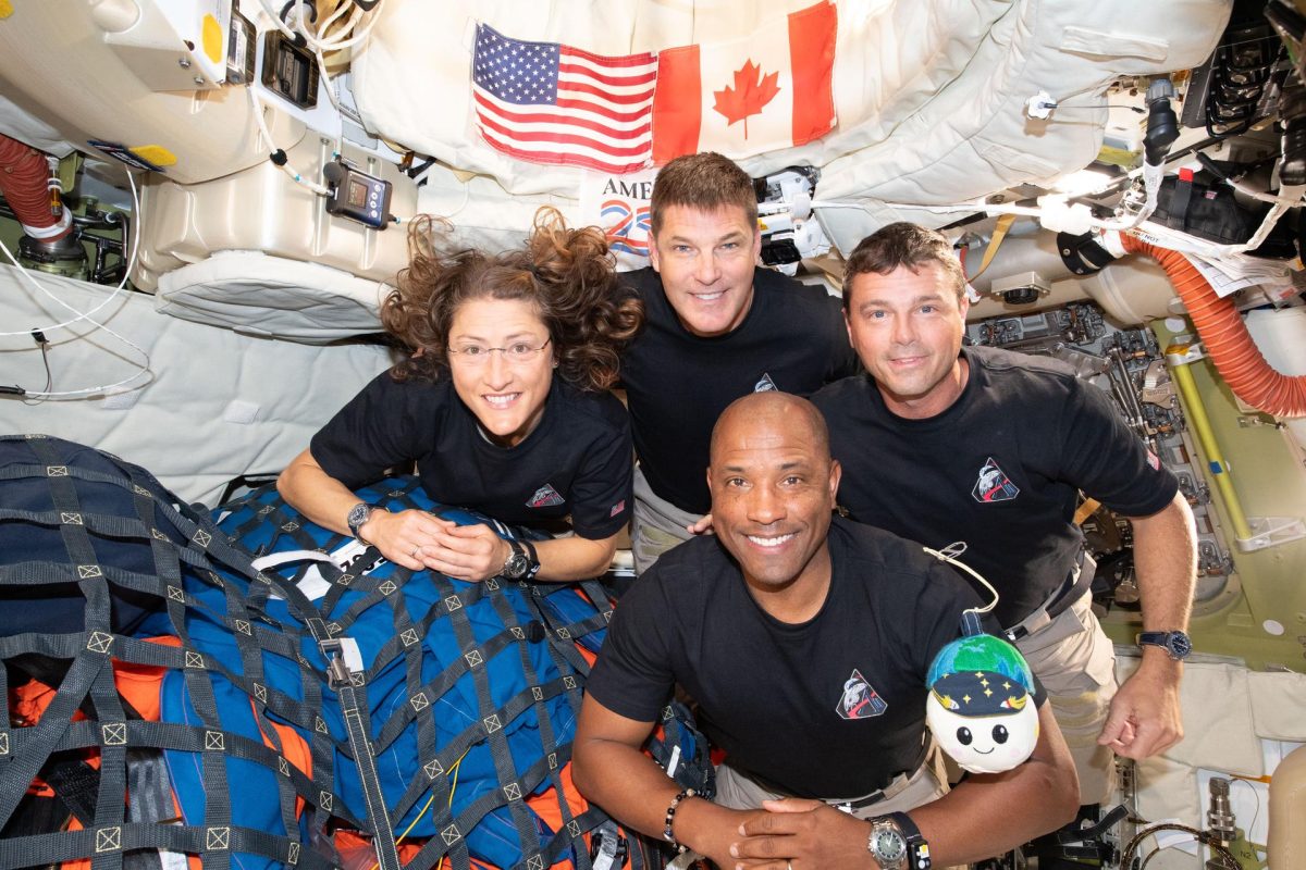 photo courtesy of NASA