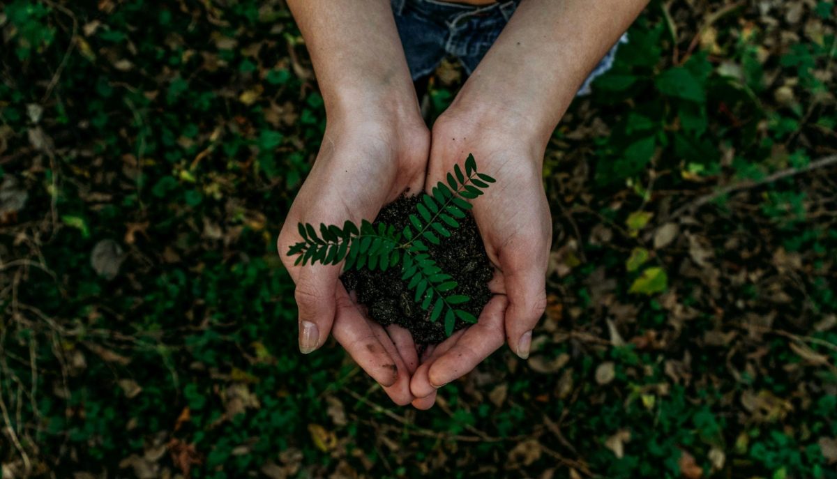 Courtesy of Unsplash