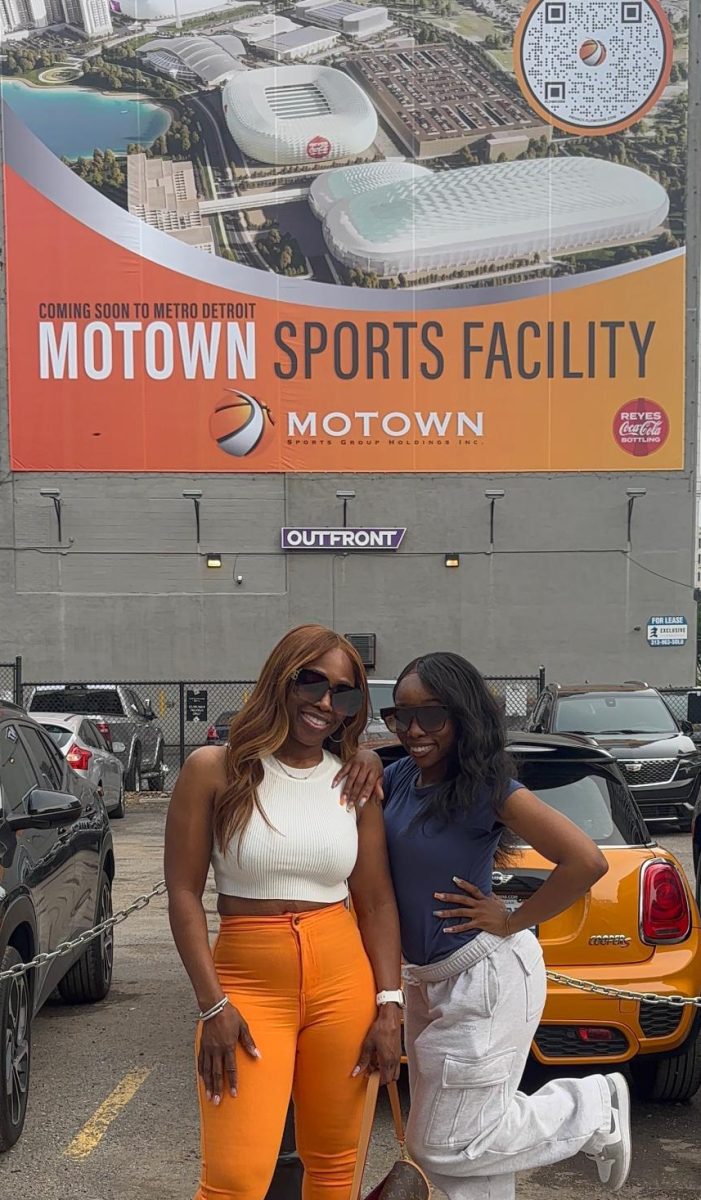 Motown Sports Village jazzing up Romulus
