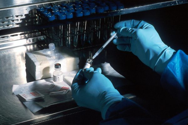 Photo courtesy of unsplash